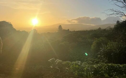 Amazing and increible property for sale – Poas de Alajuela –
