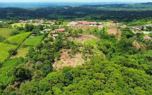 Land For Sale Ciudad Quesada –