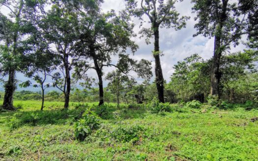 Land For Sale Ciudad Quesada –