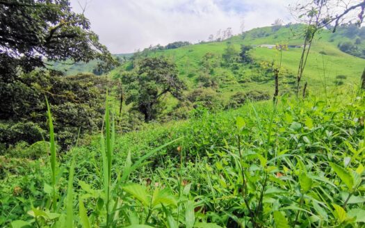 Farm for sale, San Luis, Zarcero –