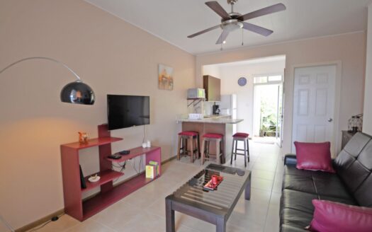 Turn-Key Investment Property for Sale in the Mountains of Grecia, Costa Rica –