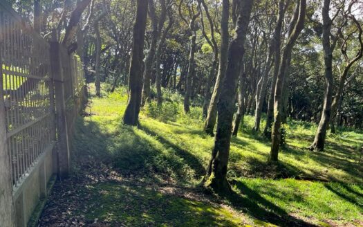 Land For sale, Grecia Costa Rica –