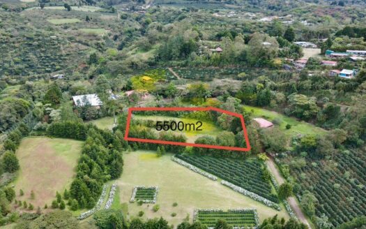 Lot For Sale Located in Grecia Costa Rica –