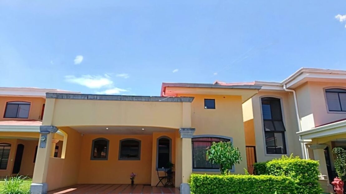 video image