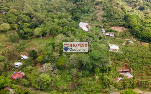 Farm to sell, El Rosario de Naranjo, Alajuela –