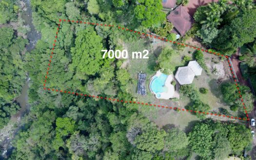 Owner Financing up to 1% on this Slice of Paradise! –