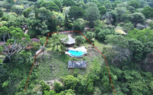 Owner Financing up to 1% on this Slice of Paradise! –