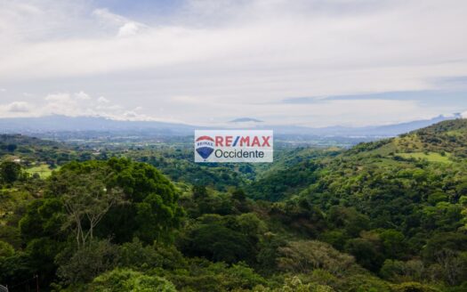 Farm to sell, El Rosario de Naranjo, Alajuela –