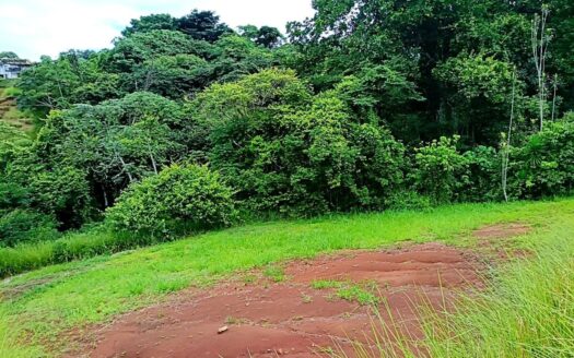 Lot for Sale Hacienda Natura, Naranjo –