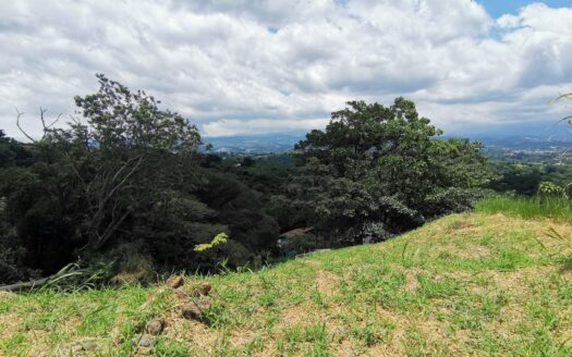Naranjo