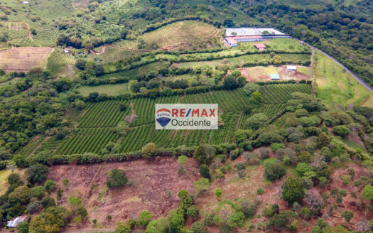 Farm to sale, Poas Alajuela –