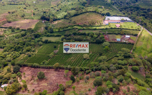 Farm to sale, Poas Alajuela –