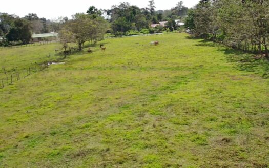Lot for sale, San Carlos, Costa Rica –