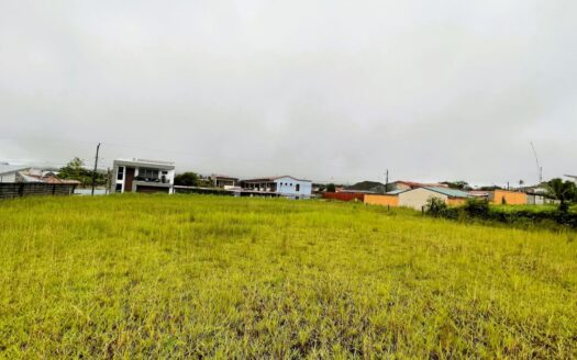 San Carlos