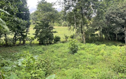 LOT FOR SALE IN CHACHAGUA, SAN RAMON –