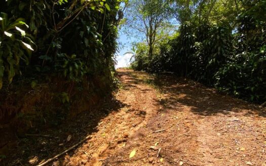 LOT FOR SALE IN SANTIAGO SAN RAMON –