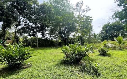 LOT FOR SALE IN CHACHAGUA, SAN RAMON –