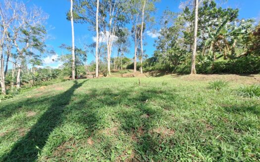 Land for sale, Bajo Rodriguez San Ramon –