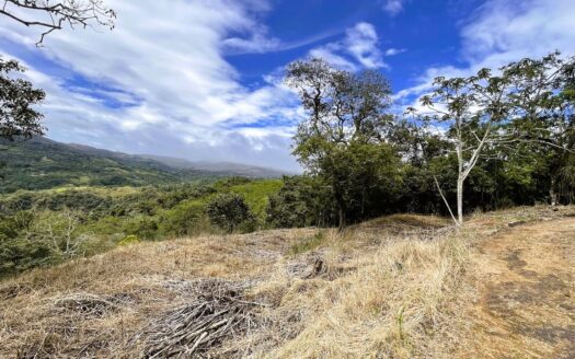 LOT FOR SALE IN SAN PEDRO, SAN RAMON. –