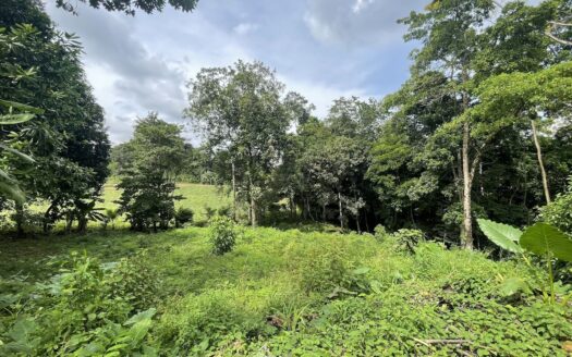 LOT FOR SALE IN CHACHAGUA, SAN RAMON –