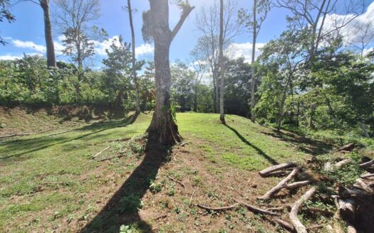 Land for sale, Bajo Rodriguez San Ramon –