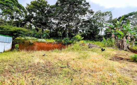 LOT FOR SALE IN RINCON OROZCO, SAN RAMON –