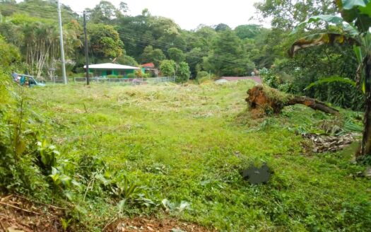 LOT FOR SALE IN SANTIAGO SAN RAMON –
