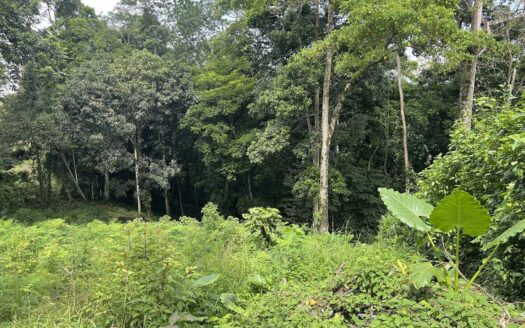 LOT FOR SALE IN CHACHAGUA, SAN RAMON –