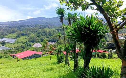 Land For Sale, Trojas, Sarchí. –
