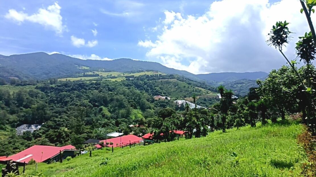 video image